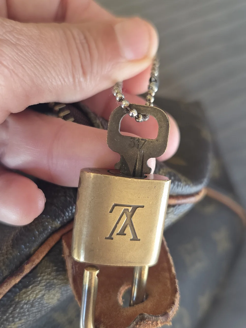 Louis Vuitton iconic louis